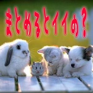 まとめるとイイの?
