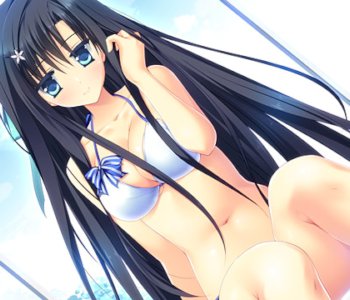 後発組でも稼げるゲームジャンル 2次元美少女 水着 プライミニスター