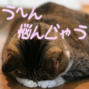 アフィリエイトの情報収集のポイント 情報収集のポイント
