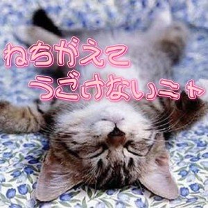 ねちがえた